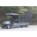 Carrinho de golfe elétrico do transporte do EXCAR 2 Seater para o carro de buggy elétrico da venda